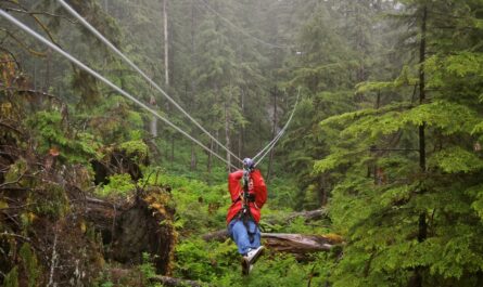 faire de l'accrobranche à Sherwood Parc