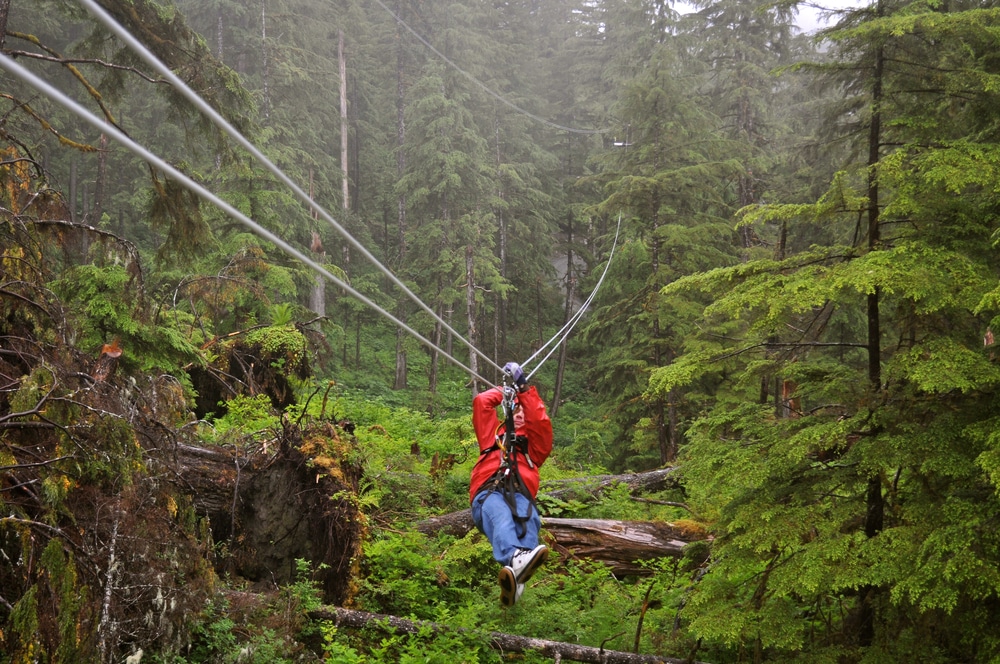 faire de l'accrobranche à Sherwood Parc